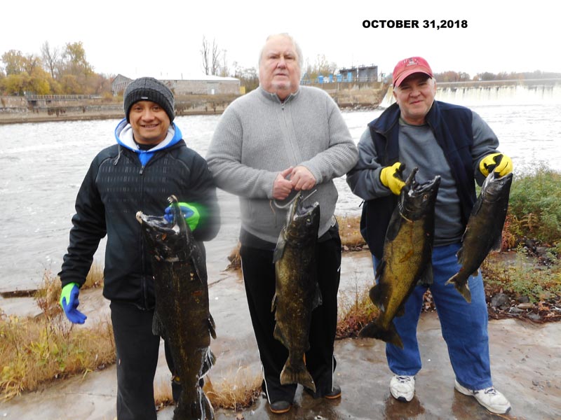 Salmon River NY Fishing Charters & Guides - Steelhead & Brown Trout